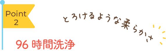 Point2 96時間洗浄