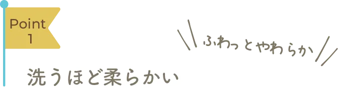 Point1 洗うほど柔らかい