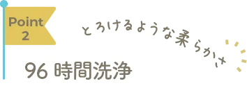 Point2 96時間洗浄