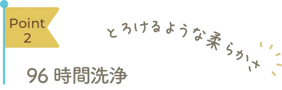 Point2 96時間洗浄