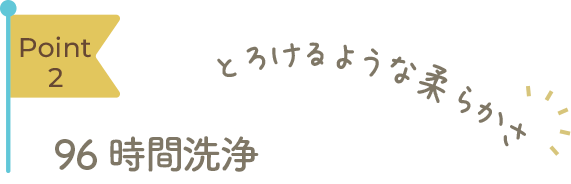 Point2 96時間洗浄