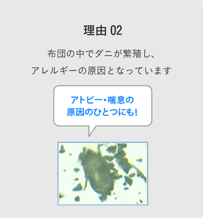 アトピー・喘息の原因のひとつにも!