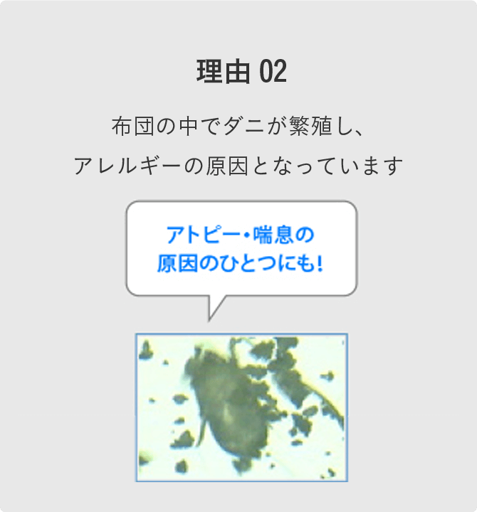 アトピー・喘息の原因のひとつにも！