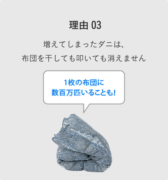 1枚の布団に数百万匹いることも!